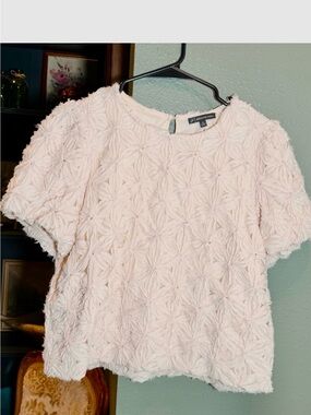 Adrianna Papell Blush Pink Textured Floral Short Sleeve Top